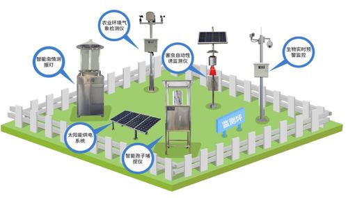 科技賦能農(nóng)業(yè) 網(wǎng)絡(luò)技術(shù)研發(fā)與服務(wù)如何讓智慧之花綻放